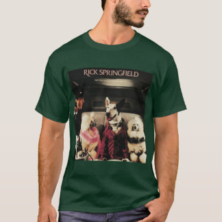 Camiseta El éxito aún no me ha malcriado amigo