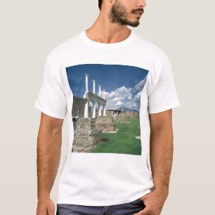 Camiseta El foro