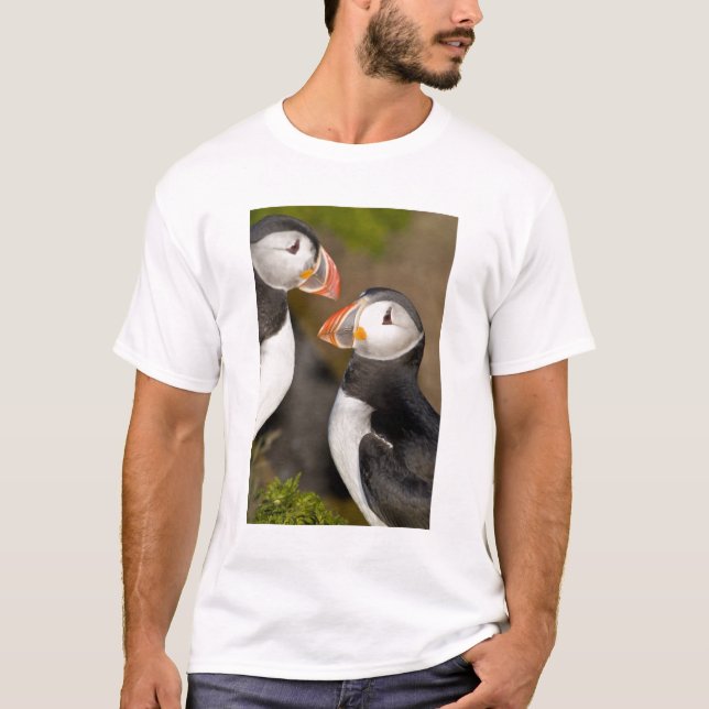 Camiseta El frailecillo atlántico (Anverso)