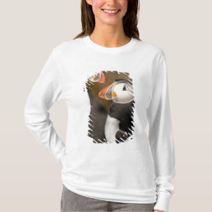Camiseta El frailecillo atlántico