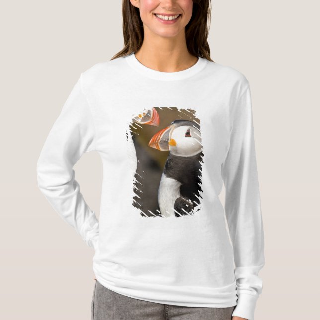 Camiseta El frailecillo atlántico (Anverso)