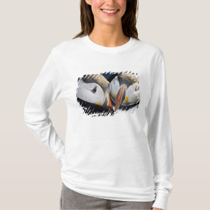 Camiseta El frailecillo atlántico, un ave marina pelágica