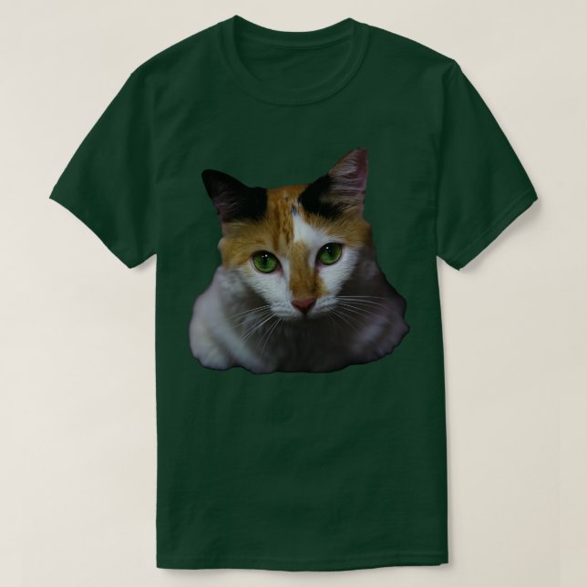 Camiseta el gato (Diseño del anverso)