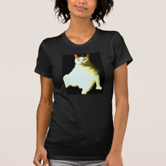 Camiseta El gato de presentación