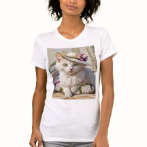 El gato en la playa.