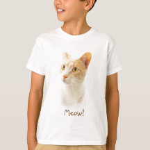 El gato pequeño de Blondie se pregunta