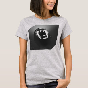 Camiseta El grito robado