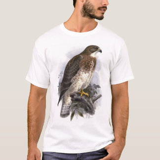 Camiseta El halcón de Swainson, fase ligera, hembra adulta