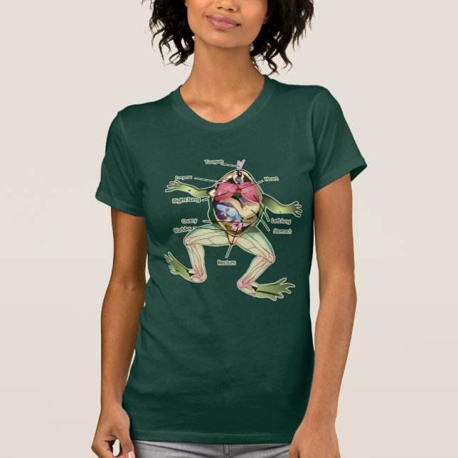 Camiseta El Ilustracion de anatomía de la rana (Anverso)