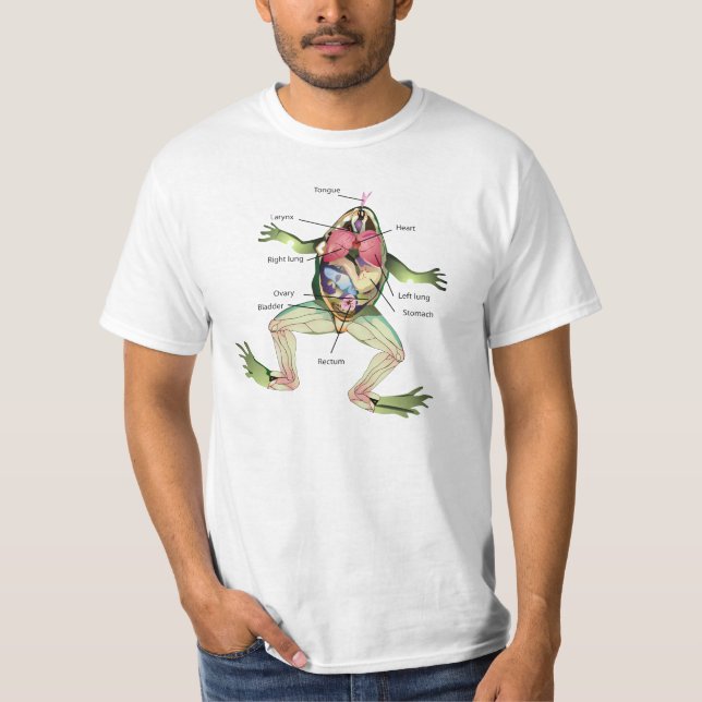 Camiseta El ilustracion de la anatomía de la rana (Anverso)