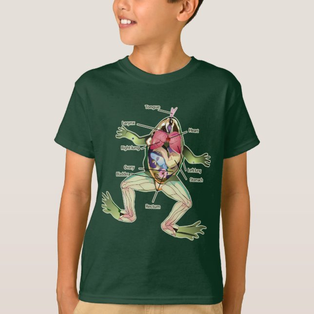 Camiseta El ilustracion de la anatomía de la rana (Anverso)