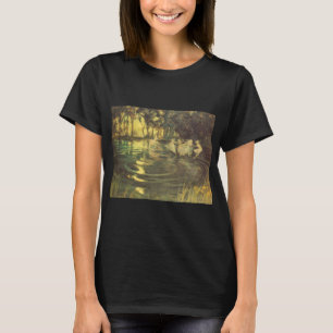 Camiseta El jaleo de las hadas por Arthur Black, la danza d