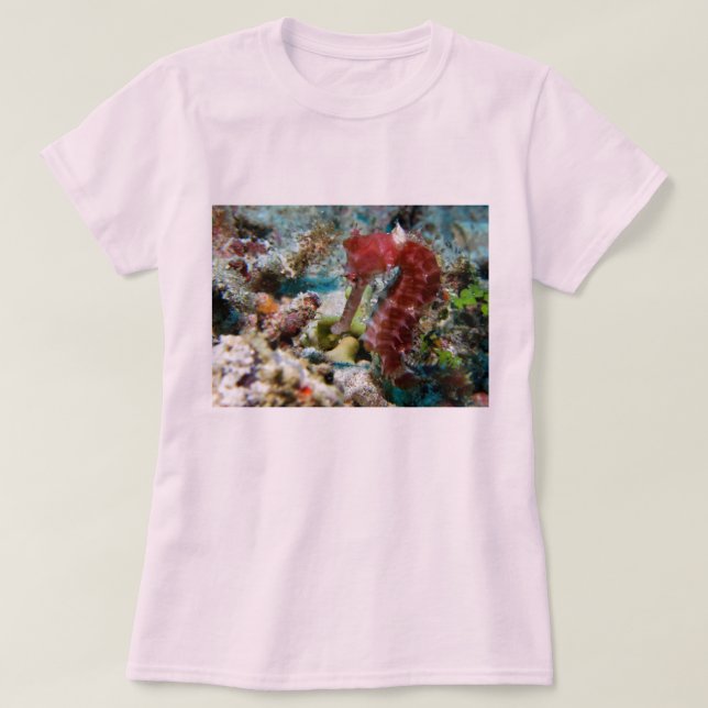 Camiseta El jardín de un Seahorse (Diseño del anverso)