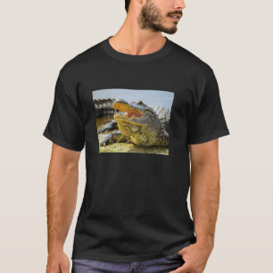 Camiseta El lagarto. Cara a cara