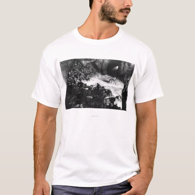 Camiseta El león marino de la costa de Oregon excava la (Anverso)