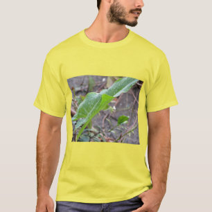Camiseta El limpiamiento de la naturaleza