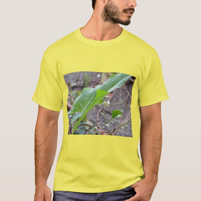 Camiseta El limpiamiento de la naturaleza (Anverso)