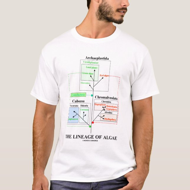 Camiseta El linaje de las algas (taxonomía) (Anverso)