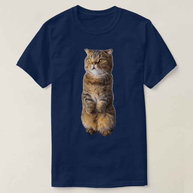 Camiseta El lindo LuLu de pie Kittisaurus  (Diseño del anverso)