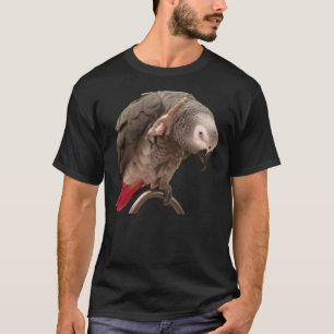 Camiseta El loro gris africano Einstein Cita graciosamente 