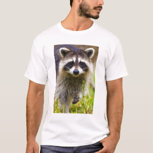 Camiseta El mapache, Procyon lotor