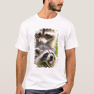 Camiseta El mapache, Procyon lotor, es un mamífero ampliame