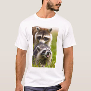 Camiseta El mapache, Procyon lotor, es un mamífero omnívoro