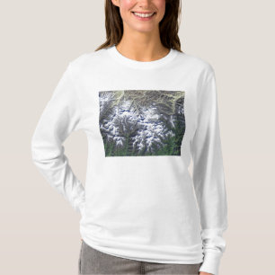 Camiseta El monte Everest