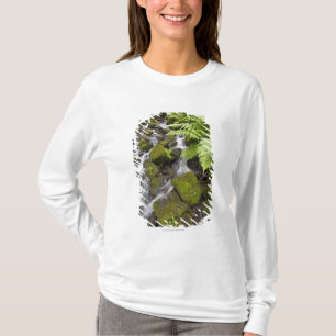Camiseta El musgo cubrió rocas con agua y los helechos