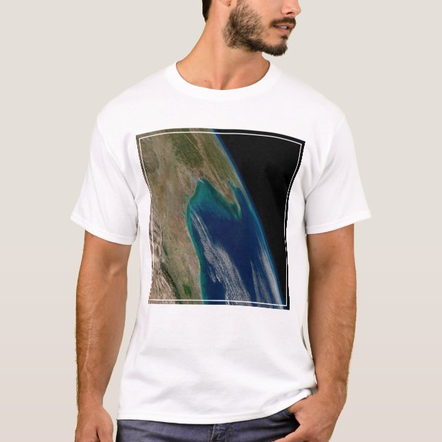 Camiseta El Norte Del Golfo De México. (Anverso)