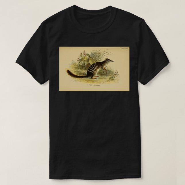 Camiseta El número de Myrmecobius fasciatus Here como Bang  (Diseño del anverso)