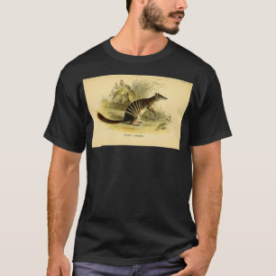 Camiseta El número de Myrmecobius fasciatus Here como Bang 