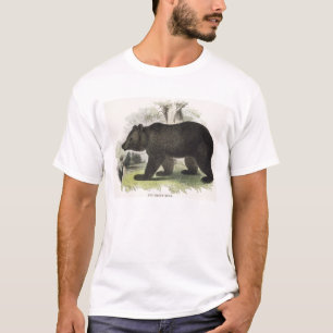 Camiseta El oso de Brown, pub educativo del ilustracion.