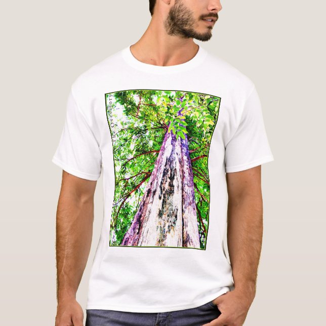 Camiseta El Overstory 2 (Anverso)