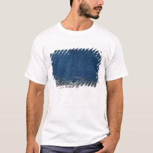 Camiseta El palacio de la reina de la noche