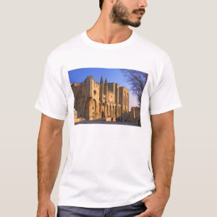 Camiseta El Palacio del Papa en Aviñón con gente