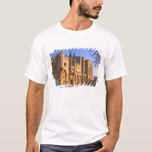Camiseta El Palacio del Papa en Aviñón con gente