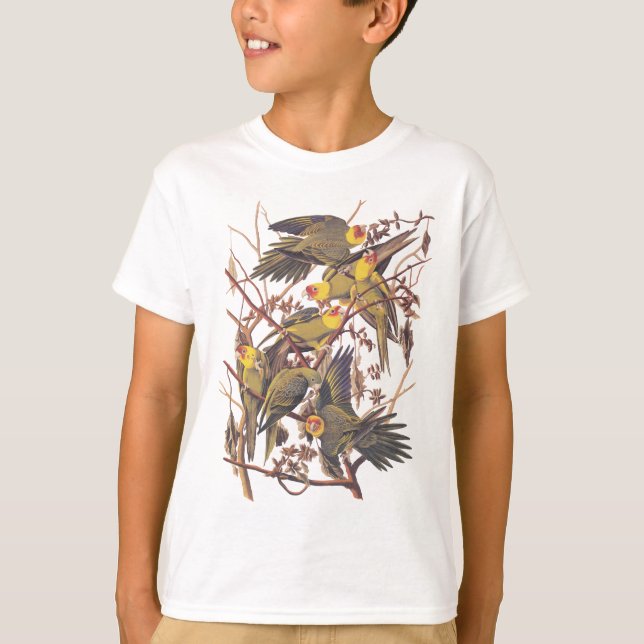 Camiseta El paracaídas de Carolina de Audubon (Anverso)