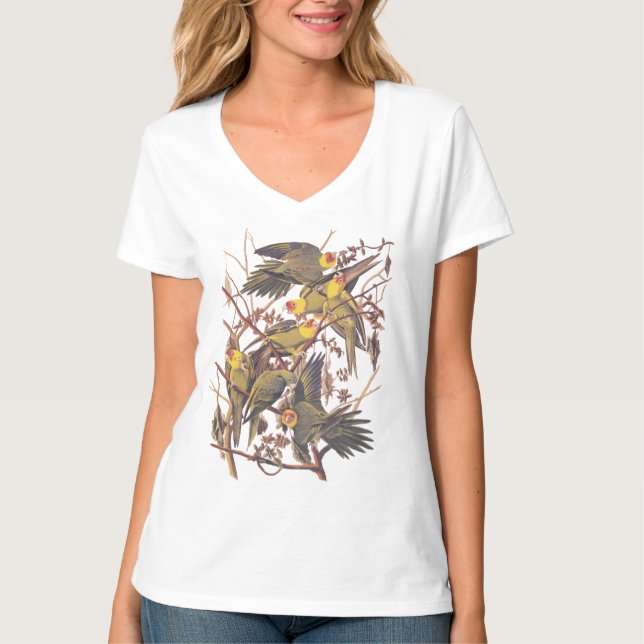 Camiseta El paracaídas de Carolina de Audubon (Anverso)