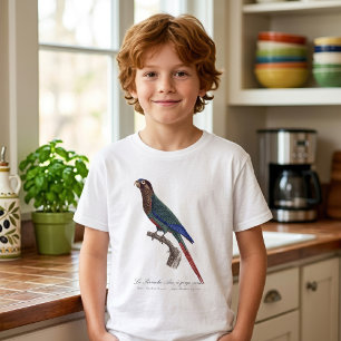 Camiseta El periquito pintado, Pyrrhura Picta