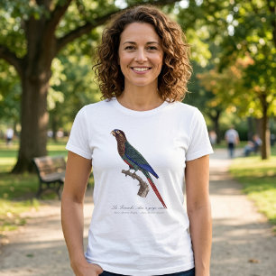 Camiseta El periquito pintado, Pyrrhura Picta