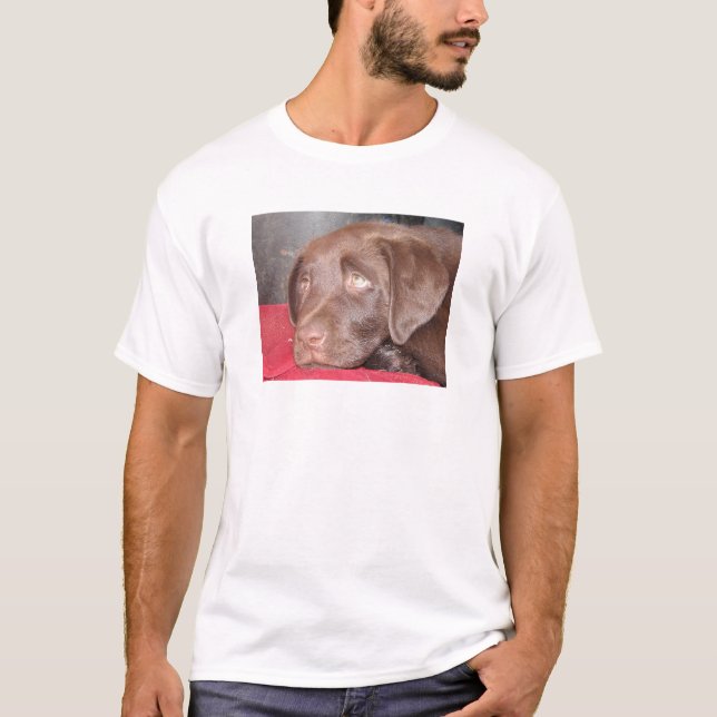 Camiseta El perrito de Labrador del chocolate reflexiona (Anverso)