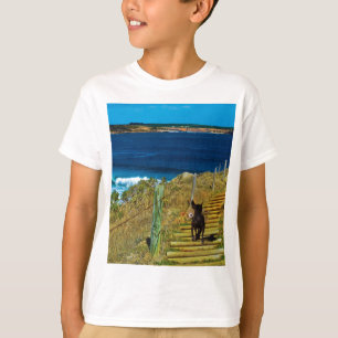 Camiseta El Perro Cresto Chino Roba Teddy,