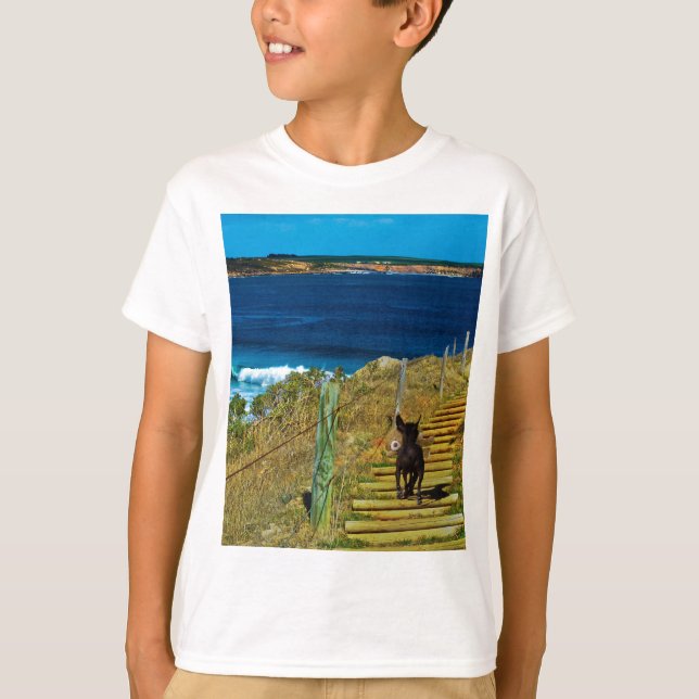 Camiseta El Perro Cresto Chino Roba Teddy, (Anverso)