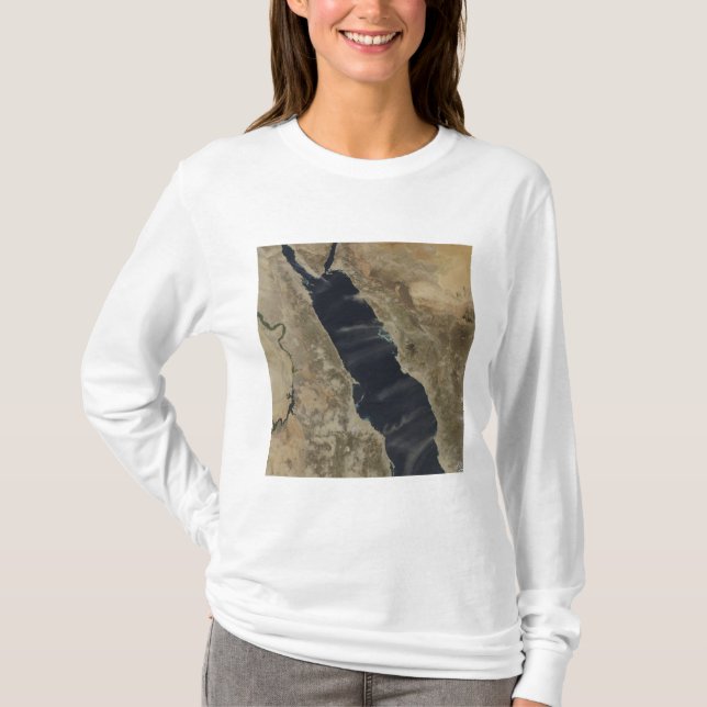 Camiseta El polvo se cierne sobre el Mar Rojo (Anverso)