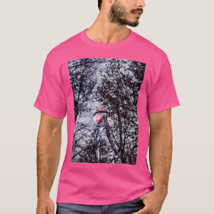 Camiseta El puente Ufo