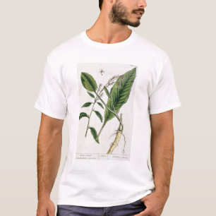 Camiseta El rábano picante, platea 415 "de un herbario