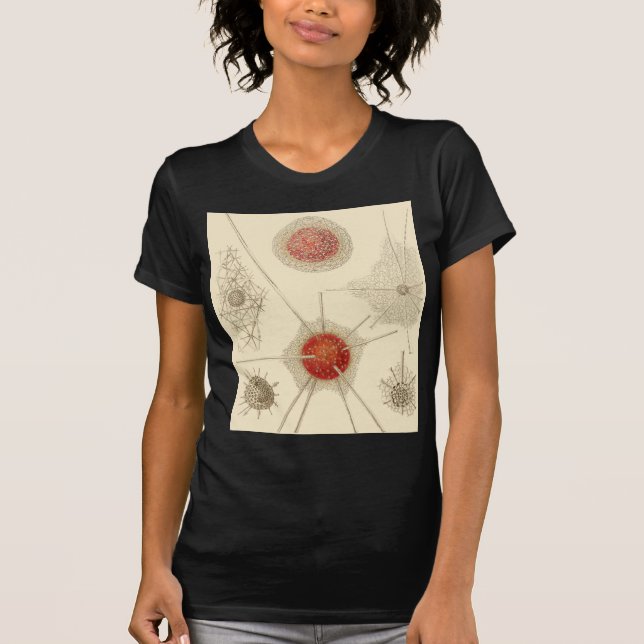 Camiseta El Radiolarian de Ernst Haeckel (Anverso)
