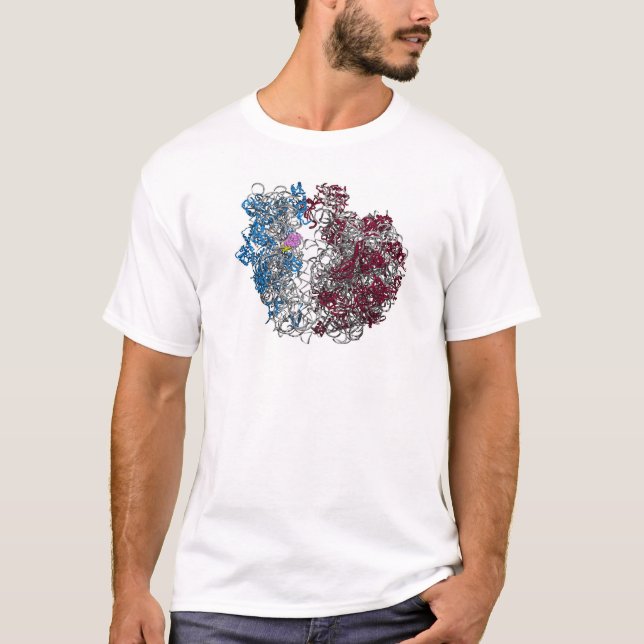 Camiseta El ribosoma - más pequeño (Anverso)