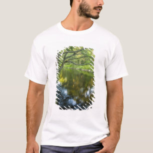 Camiseta El río Taunton en Bridgewater,